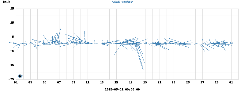 Wind Vector